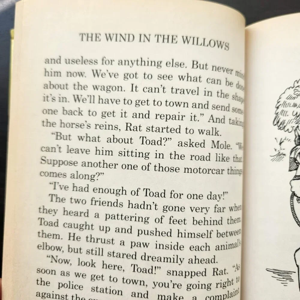 The Wind in the Willows 1996 Vintage Book Hardcover by Kenneth Graham  Print len